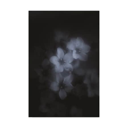 Trademark Fine Art Philippe Sainte-Laudy 'Spleen' Canvas Art, 30x47 PSL01278-C3047GG